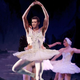 Illustration for article titled Tony Romo Confident Bruised Ribs Won’t Hurt His Performance In Upcoming Ballet Recital